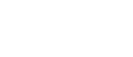 logo BiMax